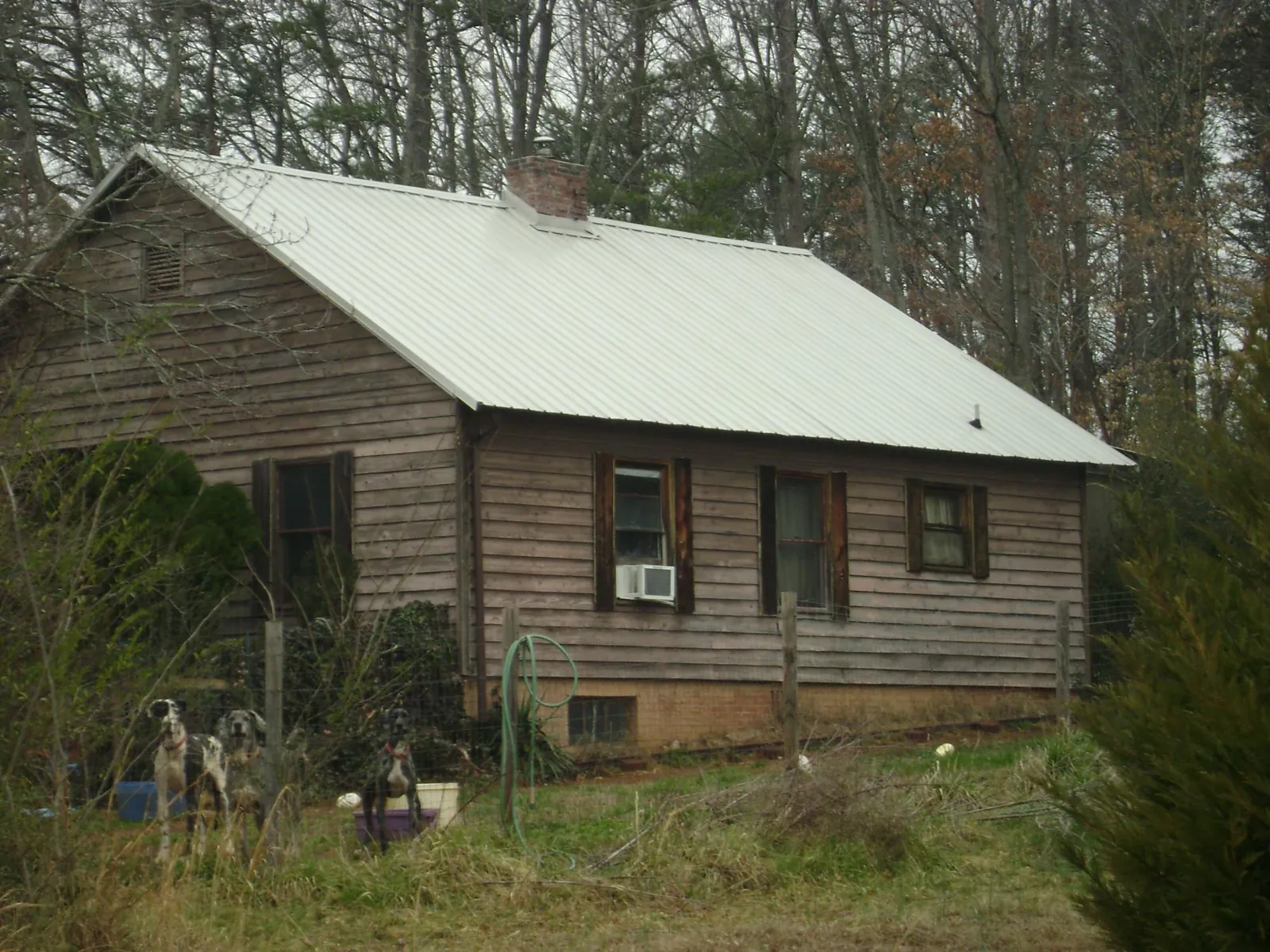 White metal roof on an old wood sided farmhouse, from a Asphalt Shingle Roof Repair job in Central Bridge